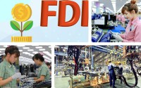 Viet Nam FDI overview